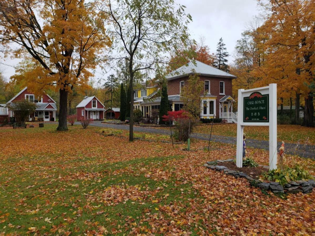 Our Space The Perfect Place B&B Picton Exterior foto